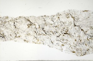 Plane Polarized, S72547