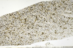 Plane Polarized, S72552