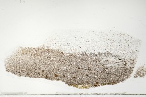 Plane Polarized, S72556