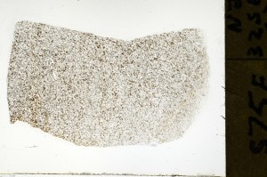 Plane Polarized, S72561