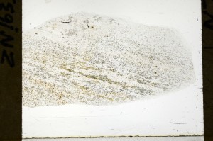 Plane Polarized, S72565