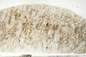 Plane Polarized, S72568