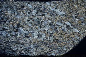 Cross Polarized, S72568/A