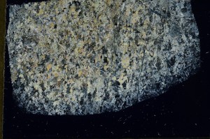 Cross Polarized, S72569