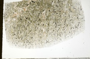 Plane Polarized, S72569