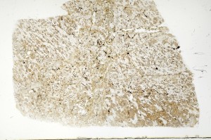 Plane Polarized, S72570