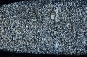 Cross Polarized, S72571