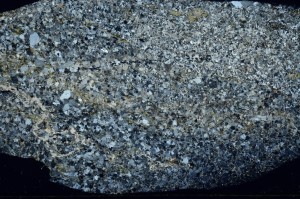 Cross Polarized, S72572