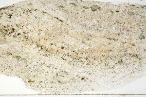 Plane Polarized, S72572