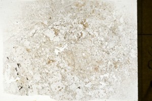 Plane Polarized, S72574