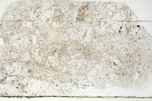 Plane Polarized, S72575