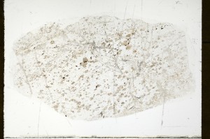 Plane Polarized, S72576