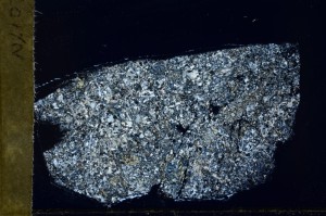 Cross Polarized, S72577