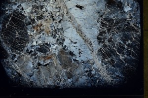 Cross Polarized, S72580