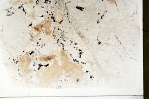 Plane Polarized, S72580