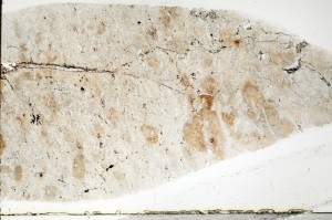 Plane Polarized, S72581