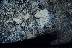 Cross Polarized, S72582