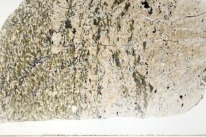 Plane Polarized, S72583