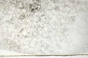 Plane Polarized, S72584