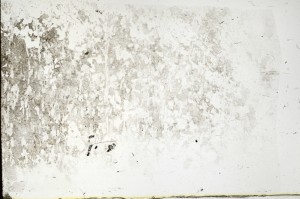 Plane Polarized, S72585