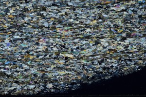 Cross Polarized, S72587