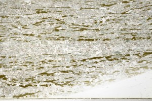 Plane Polarized, S72587