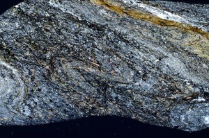 Cross Polarized, S72597