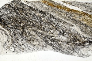 Plane Polarized, S72597