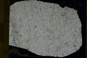 Cross Polarized, S72604