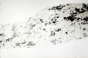 Plane Polarized, S72610