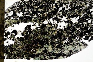 Plane Polarized, S72612