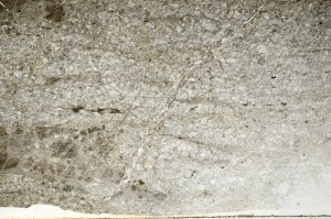 Plane Polarized, S72614