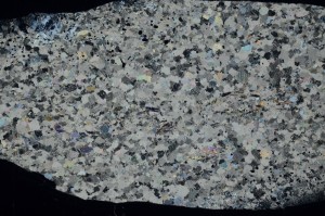 Cross Polarized, S72617