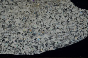 Cross Polarized, S72619