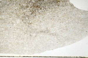 Plane Polarized, S72619