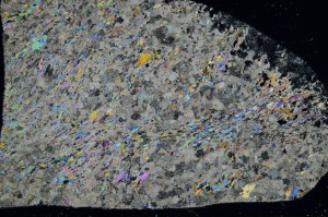 Cross Polarized, S72620