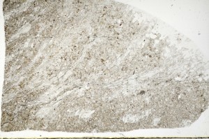 Plane Polarized, S72620