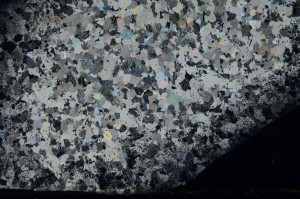 Cross Polarized, S72622