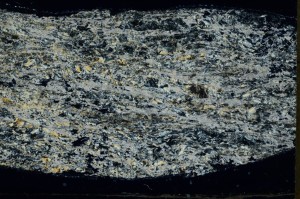 Cross Polarized, S72625