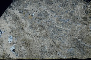 Cross Polarized, S72627