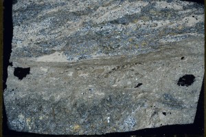 Cross Polarized, S72628