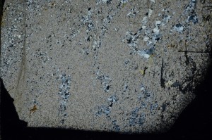 Cross Polarized, S72629