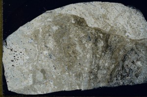 Cross Polarized, S72630