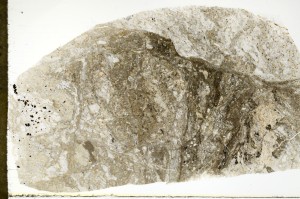 Plane Polarized, S72630