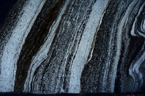 Cross Polarized, S72631