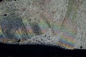 Cross Polarized, S72634