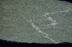 Cross Polarized, S72635