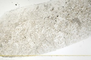 Plane Polarized, S72731