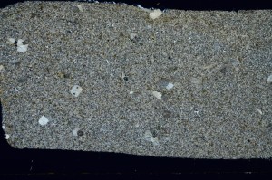 Cross Polarized, S72912