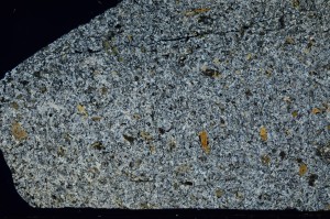 Cross Polarized, S72926